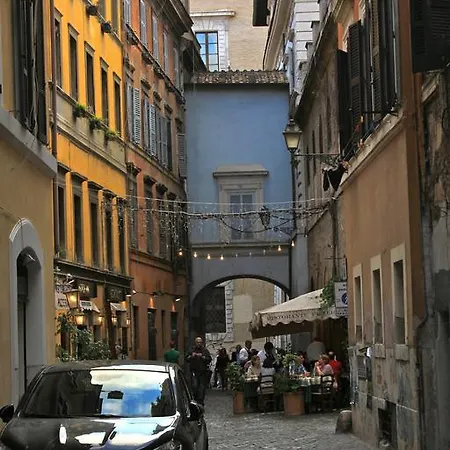 Domenichino Luxury *