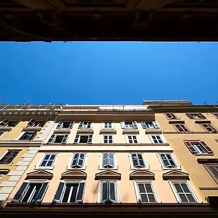Domenichino Luxury
