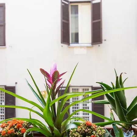 Domenichino Luxury *